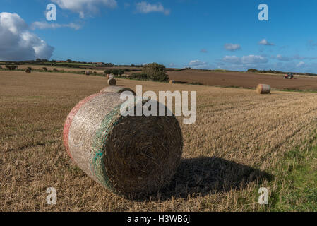 Hay rolls alongside the Cleveland Way near Kettleness and Lythe in the North York Moors National park Stock Photo