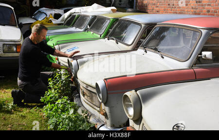 Trabant collector Hanjo Aleit stands next to several cars of the brand 'Trabant' from 1967-1990 on his premises in the Duben Health in Tornau, Gemrnany 22 September 2016. The 41-year-old trained shopfitter and drywall installation assemblyman has found his passion in the GDR Trabant that has by now been stylised into an iconic car. He currently owns around 100 of the commonly named 'Pappe' two-strokers. He wants to keep three-fourth of these Trabants for his own collection. The rest of the partly heavily damaged cars are 'project cars' for other Trabant lovers or will be caringly restored and Stock Photo