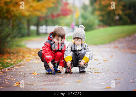 Two children, playing together with toys in the park on a rainy day, autumn time