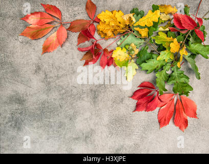Oak and maple autumn leaves on grungy stone background Stock Photo