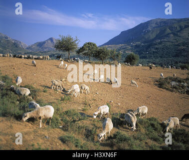Mountain landscape on the island of Crete (Greece Stock Photo - Alamy
