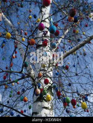 Easter, birch, decorated, Easter eggs, brightly, Easter custom, Easter decoration, tree, tree jewellery, traditions, tradition, decoration, Easter decoration Stock Photo