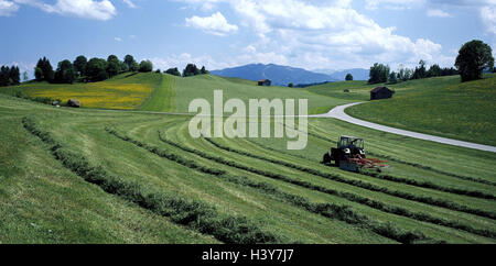 Germany, Bavaria, priest's angle, wild steep path, hay harvest, outside, Upper Bavaria, fields, meadows, scenery, width, distance, mountains, harvest, hay, tractor, agriculture, economy Stock Photo