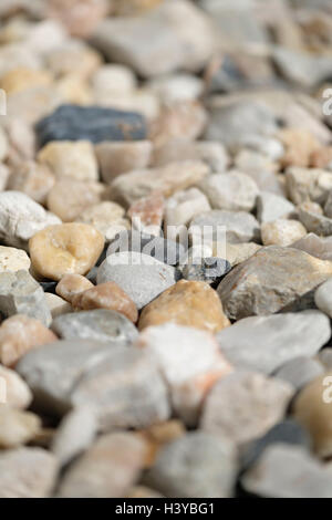 Selective focus close up photo of pebbles Stock Photo