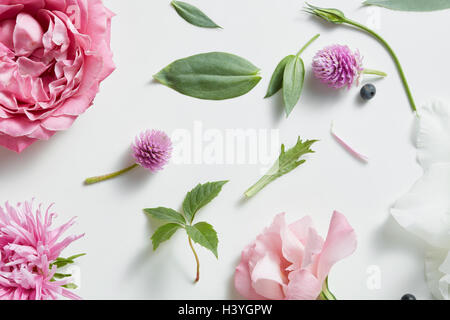 Assorted flowers heads. Stock Photo