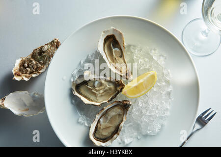 Fresh oysters on ice with lemon Stock Photo