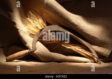 Bunch of wheat and old sickle on canvas background Stock Photo