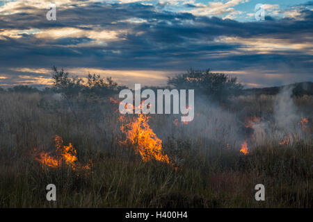Fire on grassy field against cloudy sky during sunset, Newman, Western Australia, Australia Stock Photo