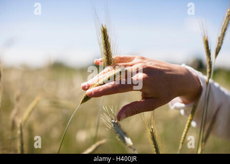 Cropped image of woman's hand touching wheat crop at field Stock Photo
