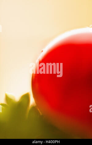 close up of a fresh tomato on a white background Stock Photo - Alamy