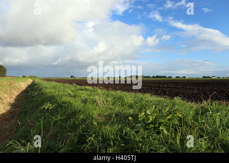 Dark soil in  Lincolnshire Fenland - Agriculture Big blue sky with cumulus clouds Evening sunshine Stock Photo