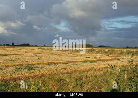 Lincolnshire Fen stubble field big sky Stock Photo