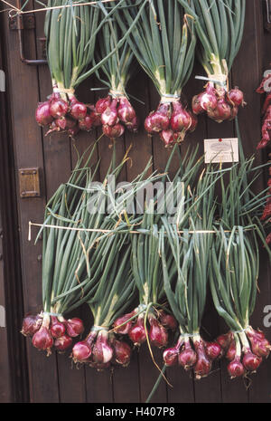 Italy, Calabria, Tropea, sales, bulbs, Cipolla Rossa di Tropea, Europe, Süditalien, the Mediterranean Sea, Tyrrhenisches sea, coastal place, speciality, on the regional level, vegetables, red bulb, Spanish onions, red, hang, suspended, offer, product, foo Stock Photo