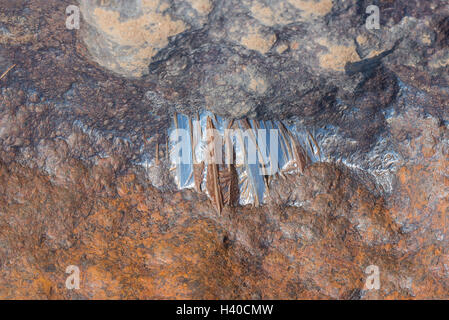 Polished glowing surface of meteorite, composed by high density heavy metals, mostly iron and nickel with traces of cobalt. Clos Stock Photo