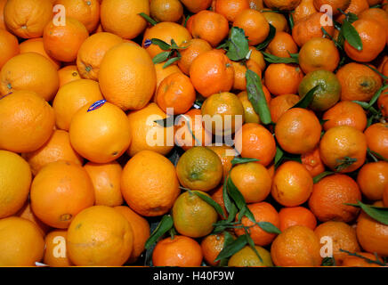 Oranges and Calamantines Stock Photo