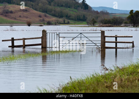 Gates and fencing uncovering as flood waters recede across Curry Moor on the Somerset Levels after the floods in 2014 Stock Photo