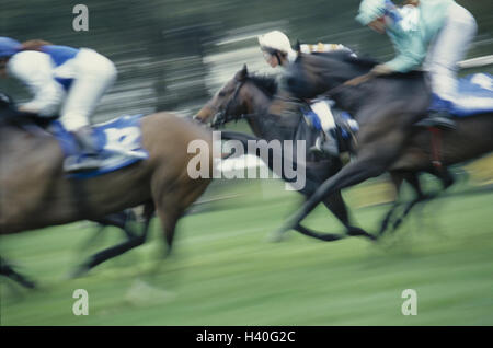 Gallop races, detail, blur, side view, racecourse, horse's racecourse, horse's race, horses, riding horses, Galopper, Jockeys, ride, gallop, bleed, gallop, derby, speed, horse-racing, sport, event Stock Photo