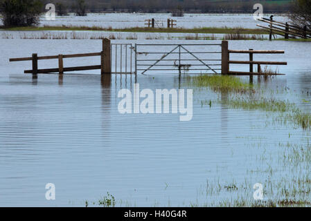 Gates and fences uncovering as flood waters recede across Curry Moor on the Somerset Levels after the floods in 2014 Stock Photo