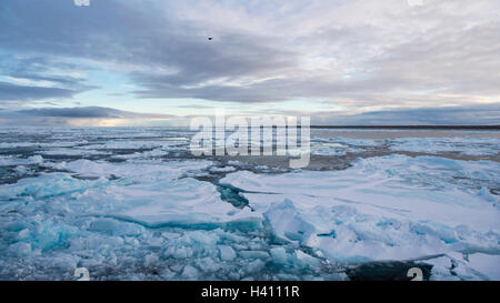 Icebreaker in the ice Stock Photo