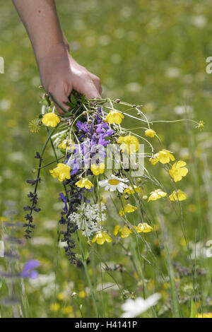 flower-meadow-girl-detail-hand
