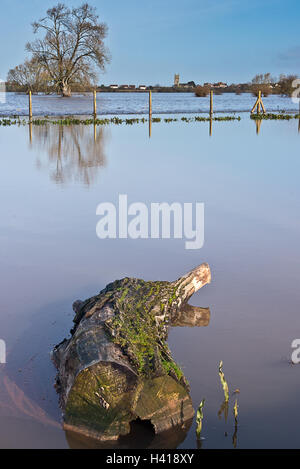 A view cross the still waters of the River Tone and  the flooded Hook Moor beyond with the church at East Lyng in the background Stock Photo