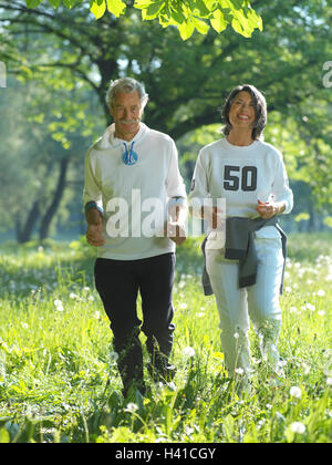 Park, meadow, senior citizen's couple, jog, couple, senior citizens, Best of all Age, together, fun, motion, actively, activity, fit, fitness, vital, vitality, sportily, sport, run, enjoy running, jogging, summer, outside, nature, whole body Stock Photo