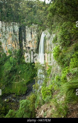 Purlingbrook Falls in Springbrook National Park, Gold Coast, Australia Stock Photo
