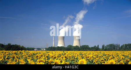 Germany, Bavaria, Lower Franconia, field Grafenrhein, nuclear power plant, cooling towers, sunflowers energy, power production, current, current production, industry, economy, industrial plant, power station, KKW, nuclear power plant, chimneys, issue, vap Stock Photo