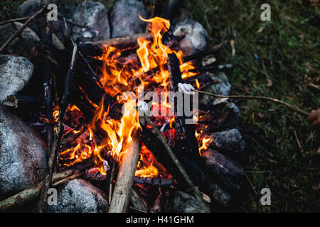 Toasting marshmallows on a campfire Stock Photo