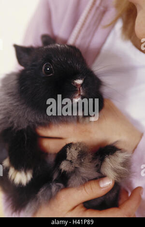 Girls, rabbits, stroke, detail, child, childhood, pygmy rabbits, 'bunny', pet, hold, carry, animal-loving, animal-loving, care, protect, protection Stock Photo