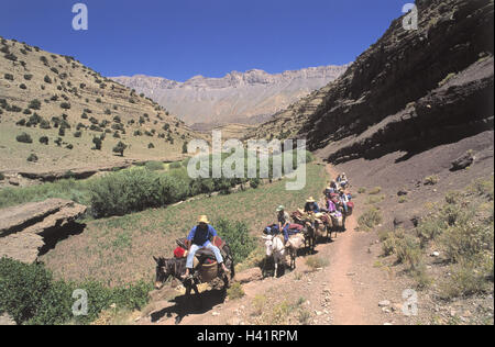 Morocco, high atlas, valley the N'goun, mule caravan, tourist, no model release!, Africa, North, Africa, Al-Mamlaka al-Maghribijja, Ngoun, Ngountal, mountains, mountains, scenery, animals, mules, costs animals, vacationers, travel, vacation, adventure vac Stock Photo