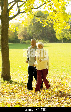 Park, Senior couple, jogging, senior citizens, Best Age, leisurewear, leisure time, fitness, fit, agile, jog, run, prompt running, initiative, together, sport, sportily, motion, activity, cycle, wood, way, autumn, season, autumnally Stock Photo