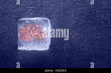 Brain frozen in ice cube Stock Photo