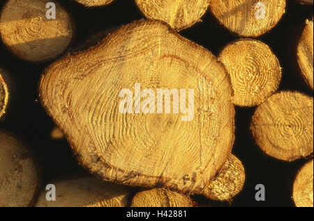 Forestry, tree-trunks, stacked,  Detail, cuts,   Trees, pleased, trunks, storage, symbol, abforsten, forest, concept, wood, firewood, lumber, fuel, storage, wood industry, paper industry, heating, Einheizen, energy supplier, natural, deforestation, cleara Stock Photo