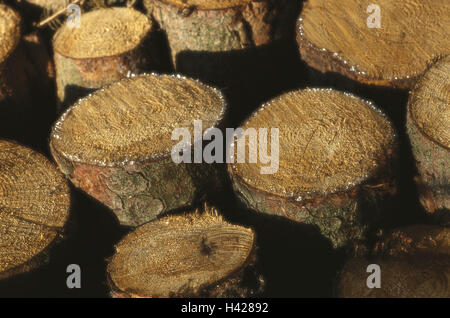 Forestry, tree-trunks, detail,  stacked, cuts, resin,   Trees, pleased, trunks, abforsten, forest, concept, wood, firewood, lumber, fuel, storage, wood industry, paper industry, heating, Einheizen, energy supplier, natural, deforestation, clearance, raw m Stock Photo