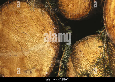 Forestry, tree-trunks, detail,  stacked, cuts, resin,   Trees, pleased, trunks, abforsten, forest, concept, wood, firewood, lumber, fuel, storage, wood industry, paper industry, heating, Einheizen, energy supplier, natural, deforestation, clearance, raw m Stock Photo