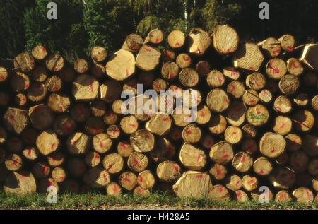 Forestry, tree-trunks, detail,  stacked, cuts, markings,   Trees, pleased, trunks, storage, symbol, abforsten, forest, concept, wood, firewood, lumber, fuel, storage, wood industry, paper industry, heating, Einheizen, energy supplier, natural, deforestati Stock Photo