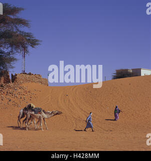 Mauritania, region Adrar, Chinguetti, Neustadt, outskirts, man, dromedaries, woman, Africa, West, Africa, oasis town, town, oasis, animals, mammals, benefit animals, riding animals, camels, dromedaries, camel caravan, caravan, person, Mauritanian, Moor, two, Mauritanian, lead, encounter, Sand, wild scenery, desert, dune, Stock Photo