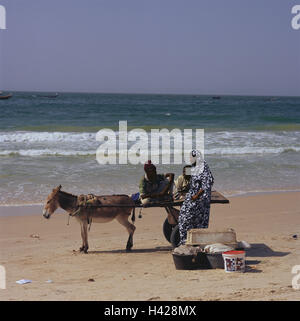 Mauritania, close Nouakchott, beach, woman, conversation, men, donkey carts, sea, Africa, West, Africa, town, capital, coast, meeting, sandy beach, entertainment, person, Mauritanian, Moor, dark-skinned, dealer, carts, donkeys, means transportation, Stock Photo