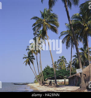 Senegal, to bass Casamance, Ile de, Carabane, river Casamance, beach, Africa, West, Africa, lower Casamance, waters, riversides, course of a river, river scenery, riverside, hut, boots, Pirogen, palms, island, river island, palm beach, Stock Photo