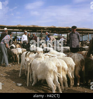 China, region Sinkiang, Framing-even, cattle market, sheep, goats, men, no model release, Asia, Silk Road, Xinjiang, Kashi, town view, town, market, economy, agriculture, cattle economy, trade, sales, animals, benefit animals, people, dealers, pawns, cattle dealers, sellers, customers, buyers, trade, sell, shop, outside, Stock Photo