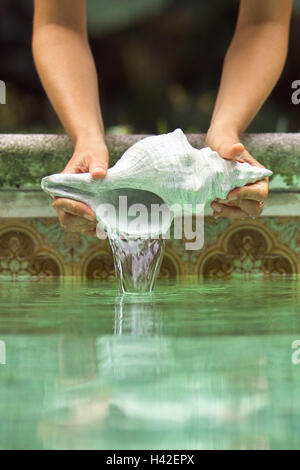 Pool, women hands, Meeresschnecke, Waters dive  Woman, hands, sea bull, mussel, lime casings,  Shell, symbol, vacation, memory, concept, caution, protection, security, fountains of youth, beauty, nature, naturalness, Stock Photo