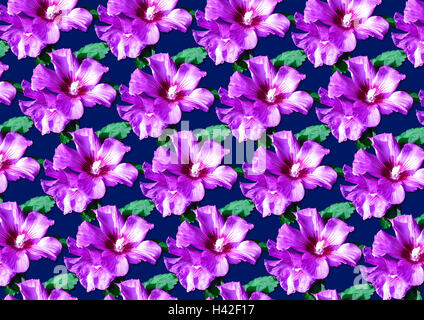 Seamless floral pattern from purple hibiscus for blue background Stock Photo