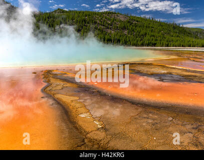 Yellowstone National Park, Wyoming; patterns of orange Thermophiles (algae) in the warm water runoff from Grand Prismatic Spring Stock Photo