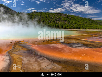Yellowstone National Park, Wyoming; patterns of orange Thermophiles (algae) in the warm water runoff from Grand Prismatic Spring Stock Photo