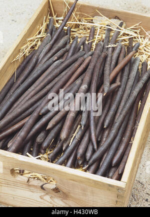 wooden box, straw, manna, Cassia fistula, Röhrenkassie, Kassie, Caesalpiniengewächse, fruits, fruit sleeves, Still life, product photography Stock Photo