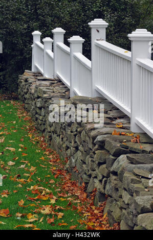 Maple leaves, Acer spec., foliage, autumn, fence, defensive wall, the USA, Vermont Stock Photo