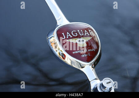 Jaguar XK 140, old-timer, detail, emblem, Stock Photo