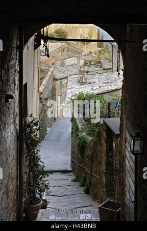 Italy, Tuscany, province Siena, Montalcino, lane, Stock Photo