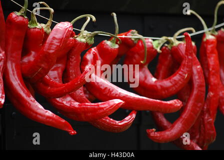 Red chili peppers hanging on a string Stock Photo